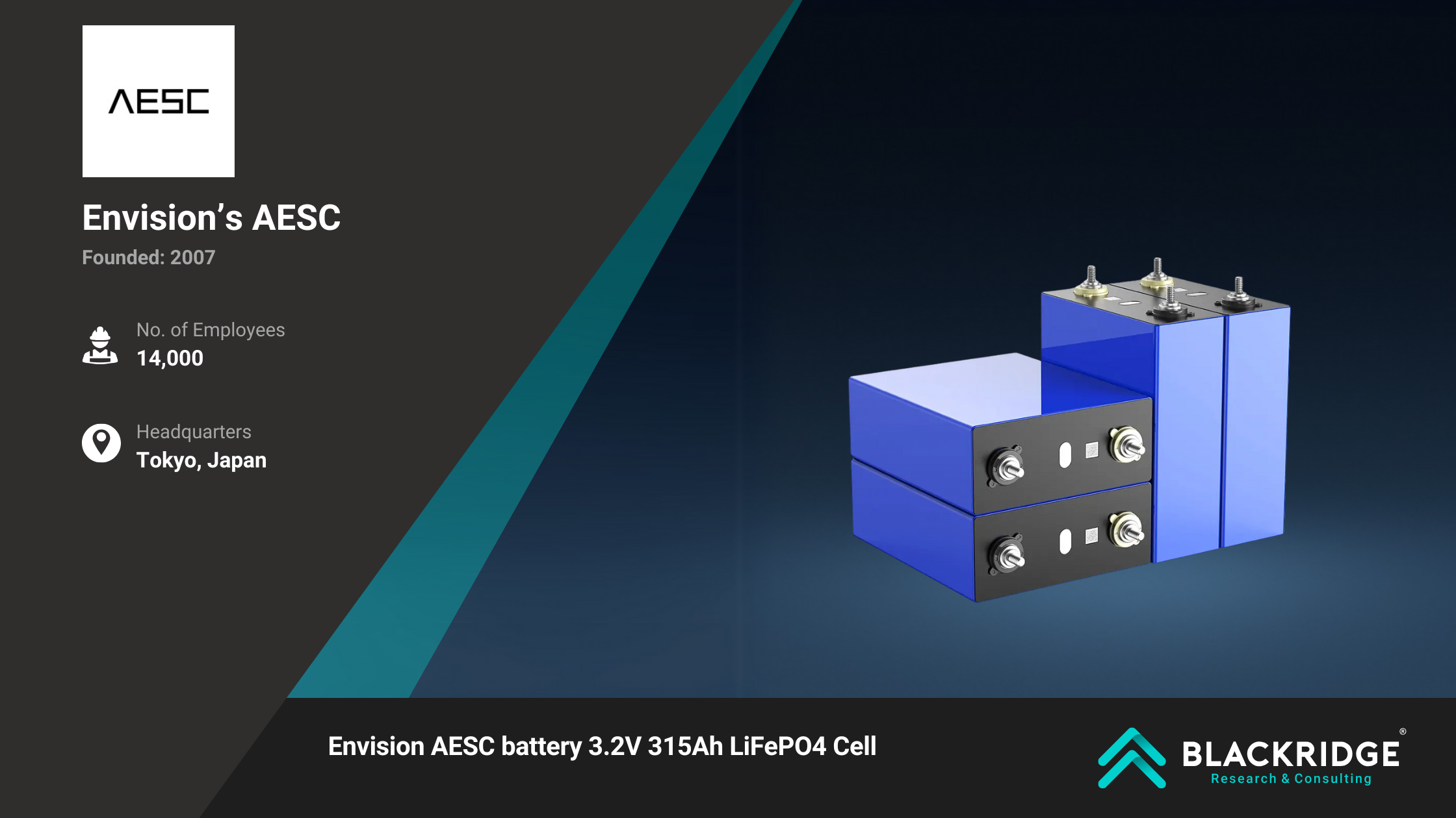 lithium-ion battery manufacturers